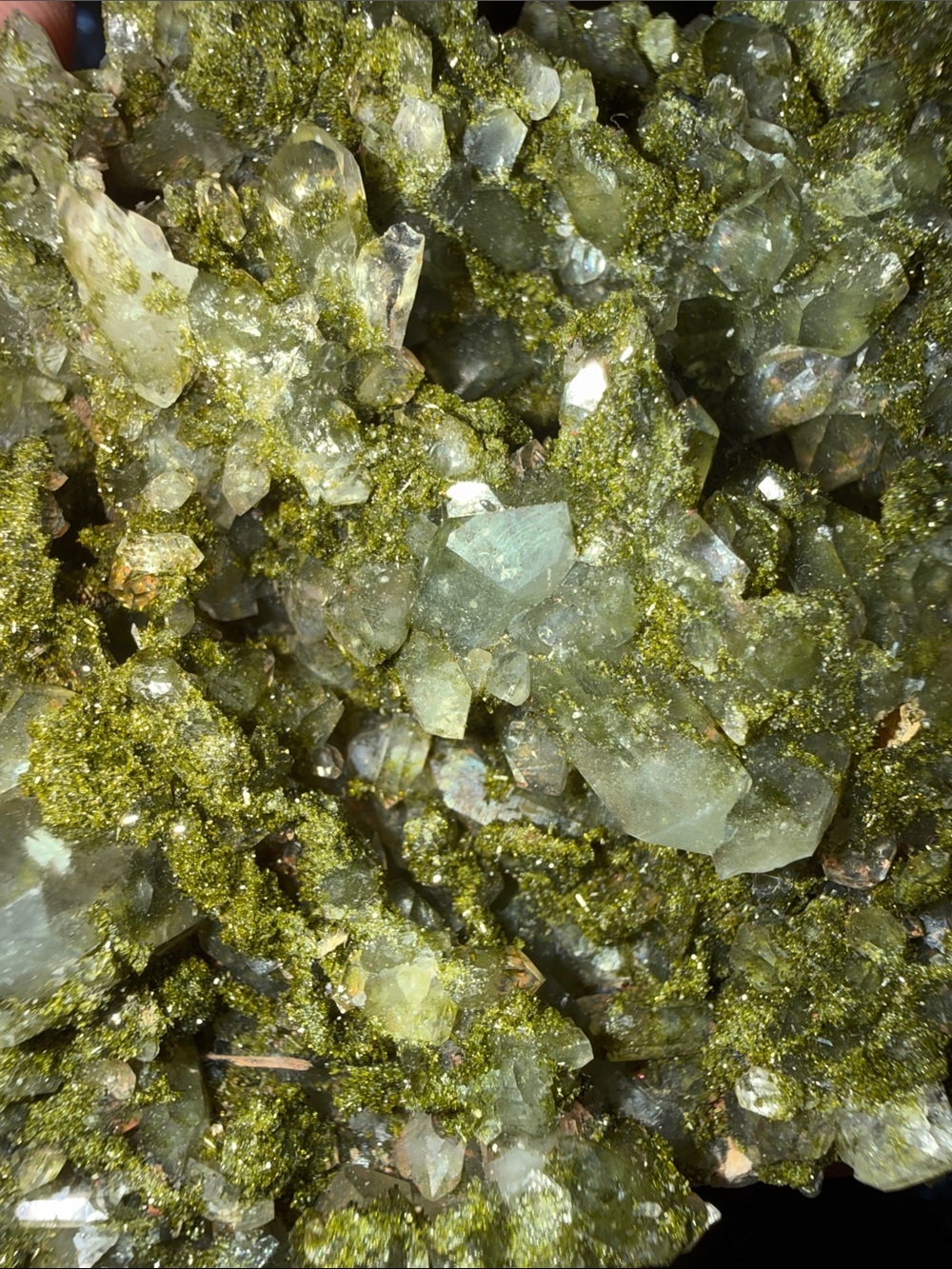 “Fairy Forest” Epidote w/Quartz - Picture 2 of 2